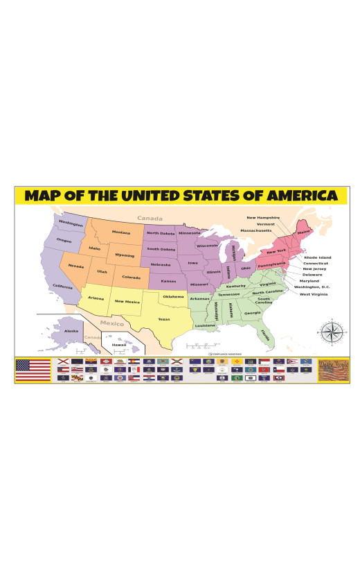 Map of USA  - Laminated Wall Map Poster Print Perfect for Classrooms and Homes - Vivid Imagery with Bright Colors