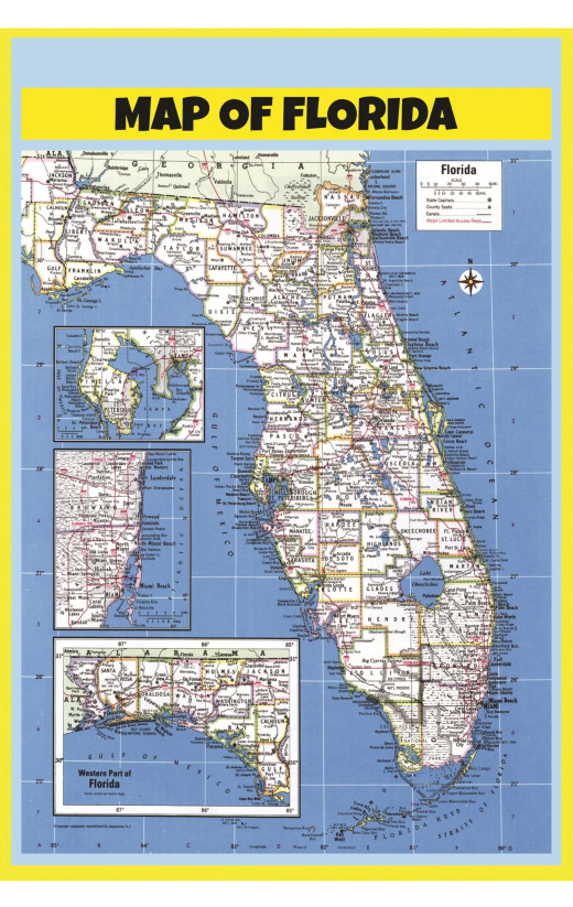 Map of Florida Style B  - Laminated Wall Map Poster Print Perfect for Classrooms and Homes - Vivid Imagery with Bright Colors