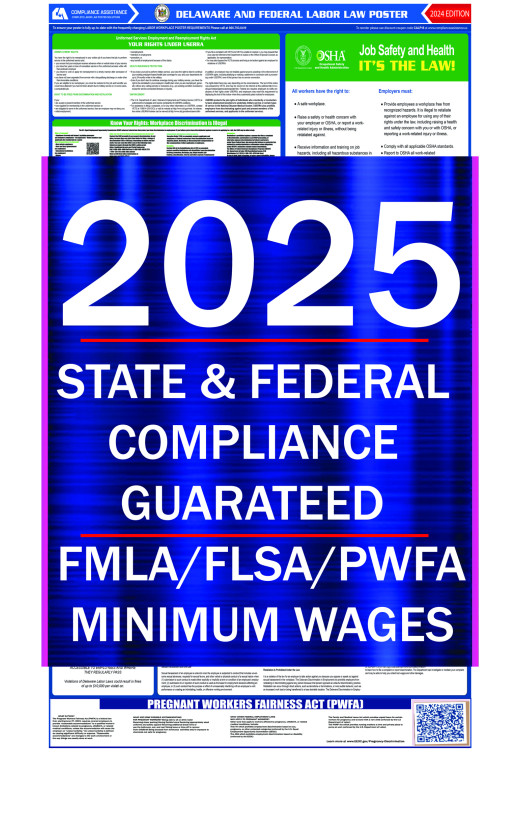 2025 Delaware State and Federal All-In-One Labor Law Poster