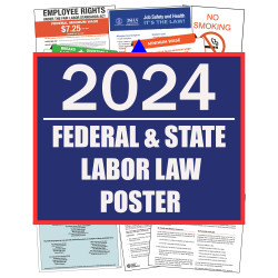 Digital Labor Law Posters